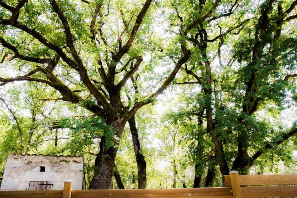 Luzech La Taniere Des Druidesヴィラ エクステリア 写真
